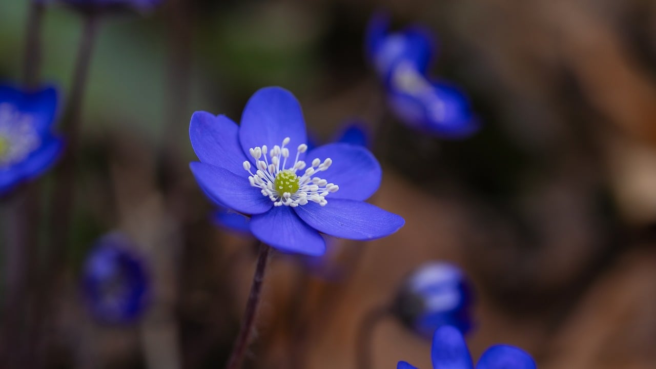 재테크 실패를 피하는 5가지 실수 살펴보기